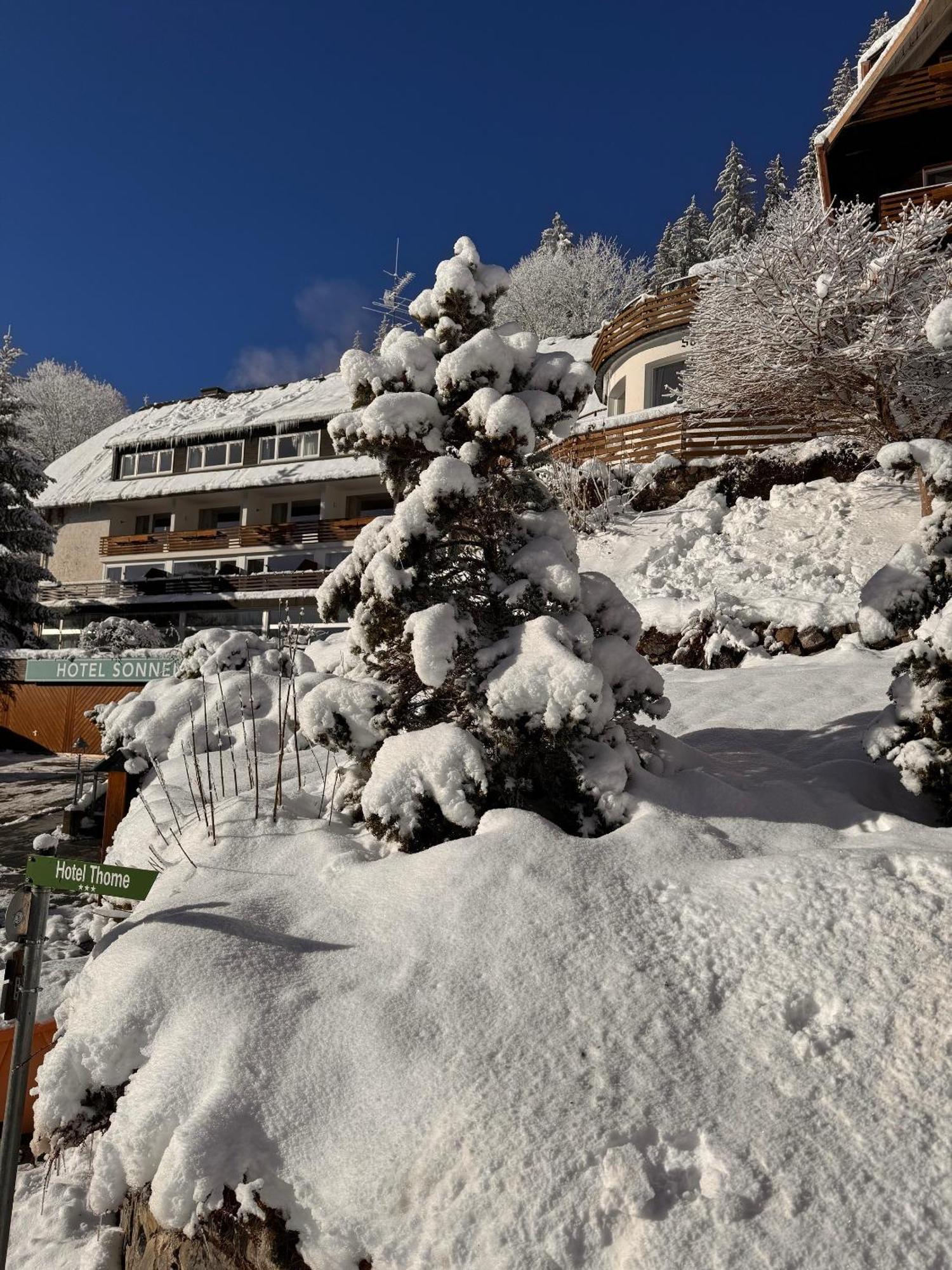 Hotel Sonnenberg Garni Hinterzarten Ngoại thất bức ảnh