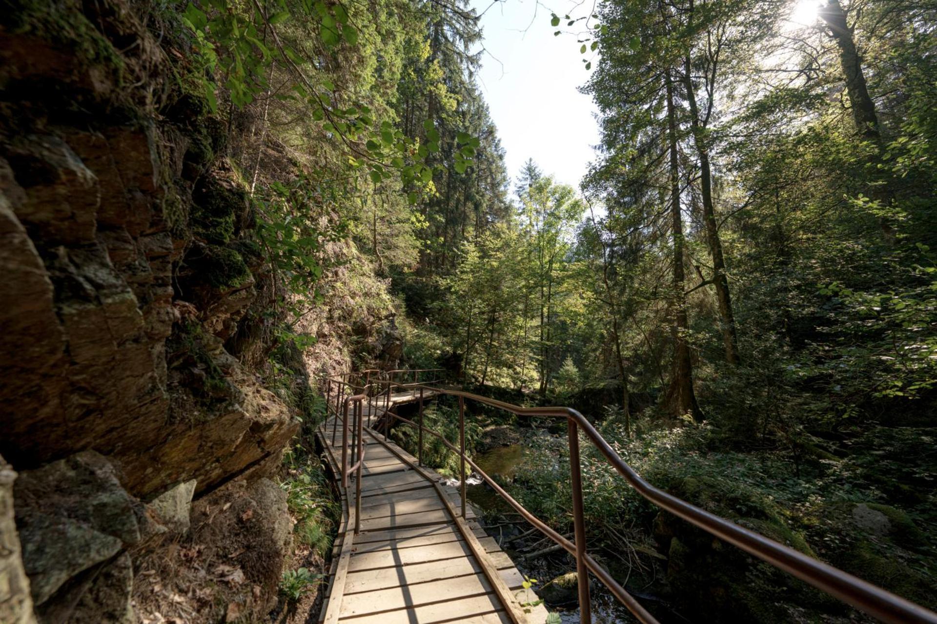 Hotel Sonnenberg Garni Hinterzarten Ngoại thất bức ảnh